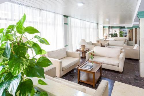 Hc Hotel Magec Puerto de la Cruz  Extérieur photo